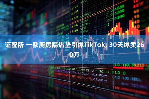 证配所 一款厨房隔热垫引爆TikTok, 30天爆卖260万